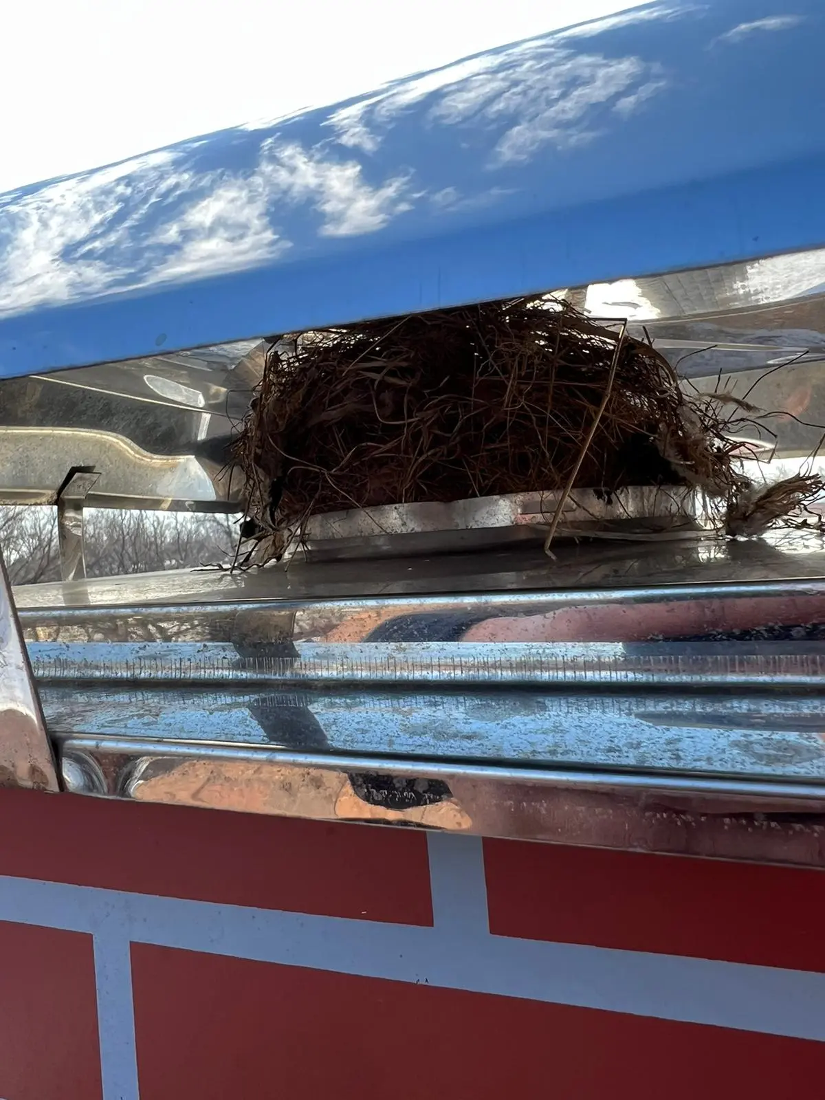 Chimney Services experts